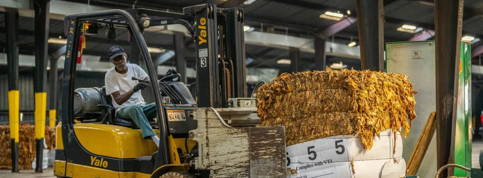 buy forklift Ajman