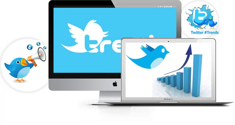 Twitter Marketing Agency